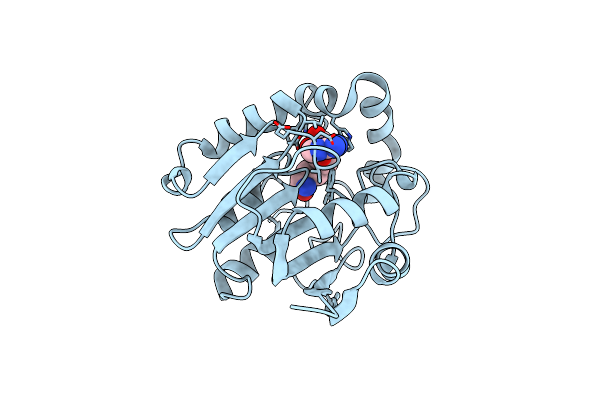 3LCC image