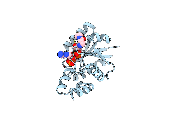3LCJ image