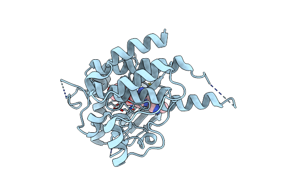3LCO image