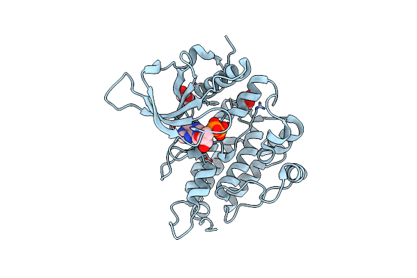 3LCT image