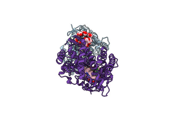 3LD6 image