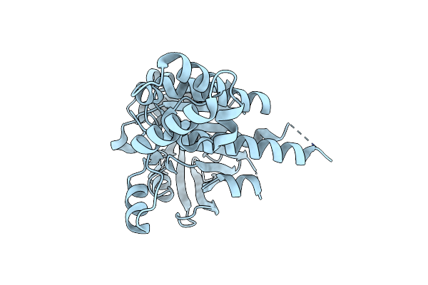 3LDA image