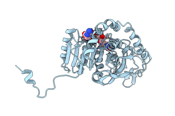 3LDH image