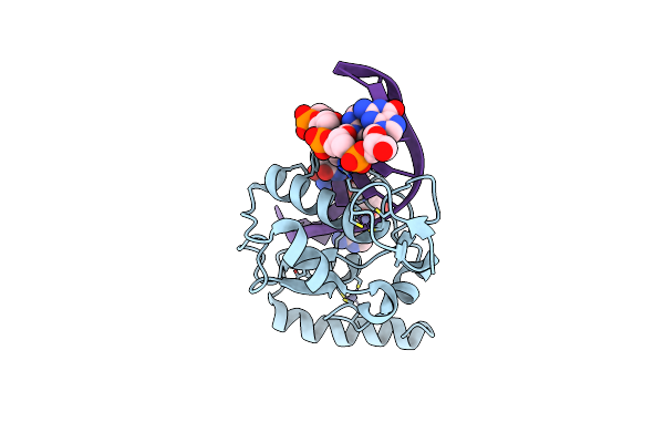 3LDY image