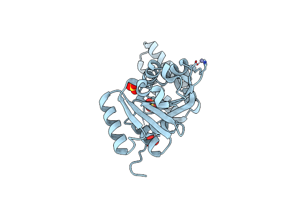 3LEC image
