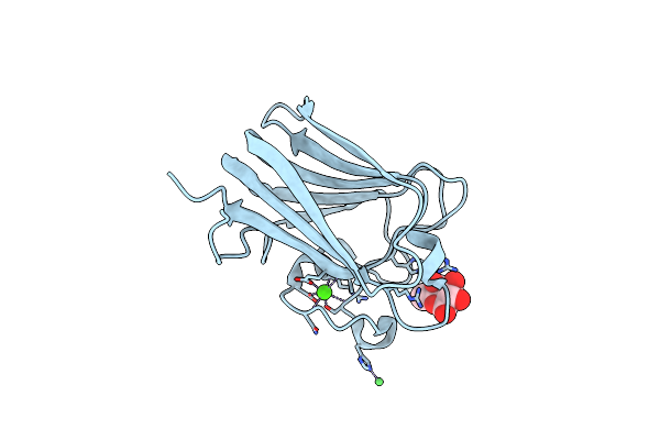 3LEI image