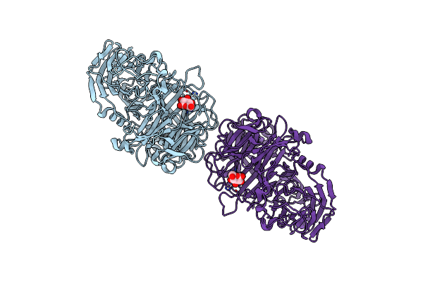3LFI image
