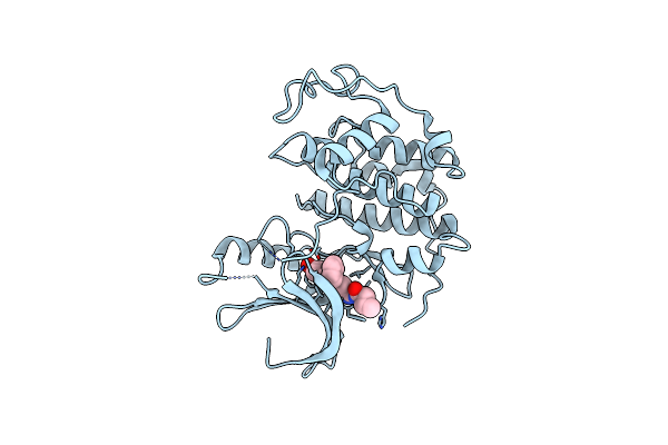 3LFN image
