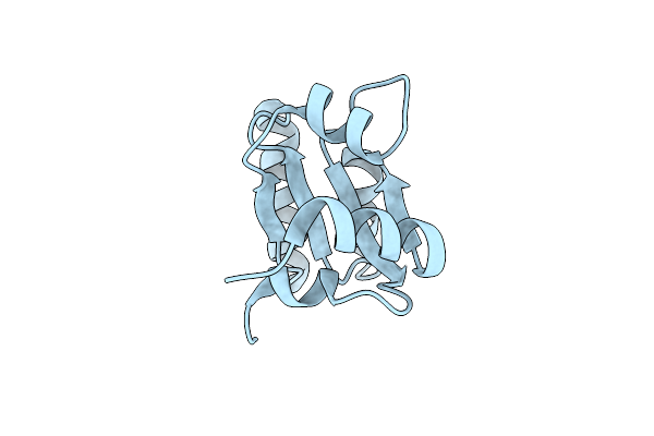 3LFO image