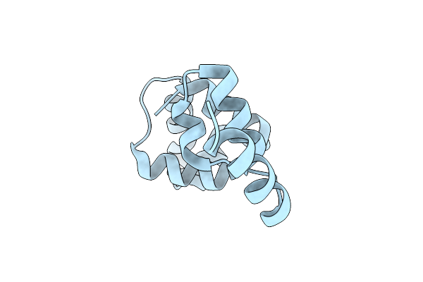 3LFP image