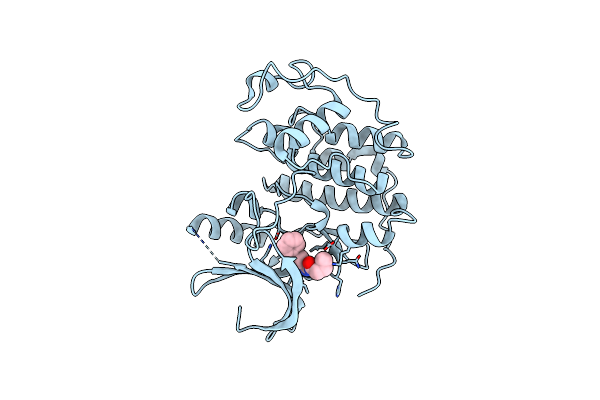 3LFS image