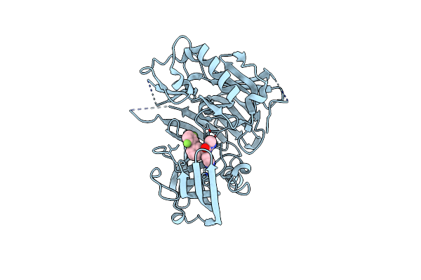 3LHG image
