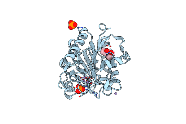 3LHL image