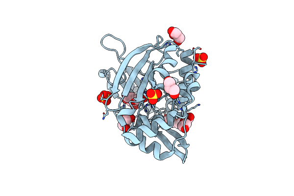 3LHO image