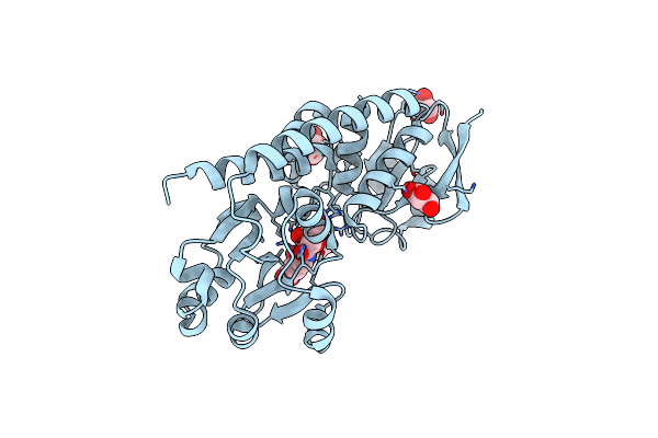 3LHS image