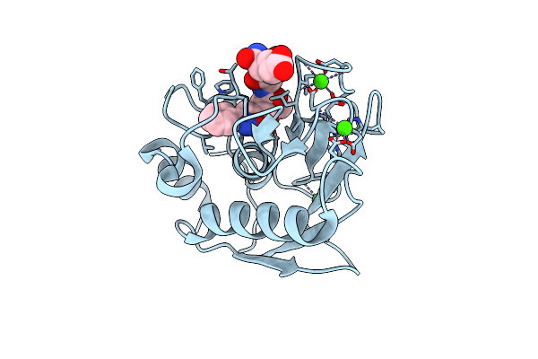 3LIR image