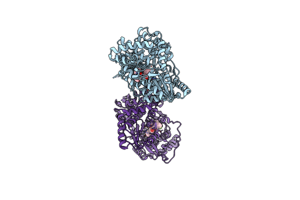 3LKH image