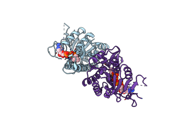 3LKK image