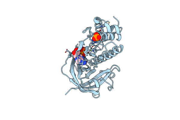 3LKM image