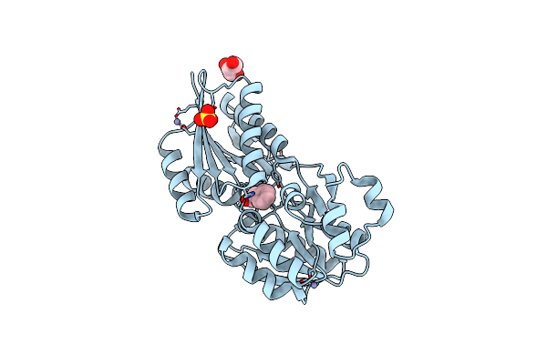 3LKV image