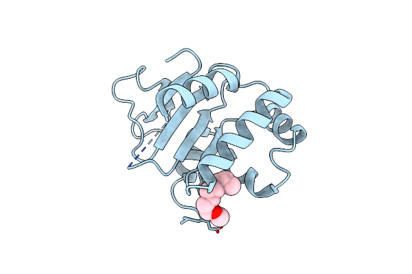 3LLO image