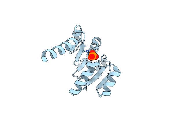3LLV image