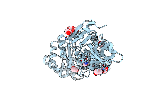 3LLX image
