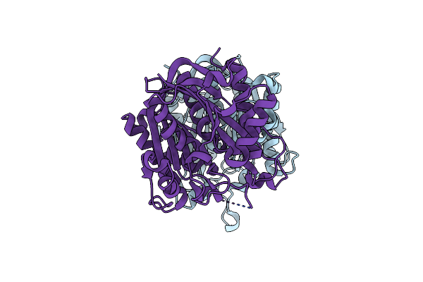 3LM6 image
