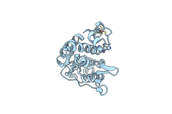 3LMC image