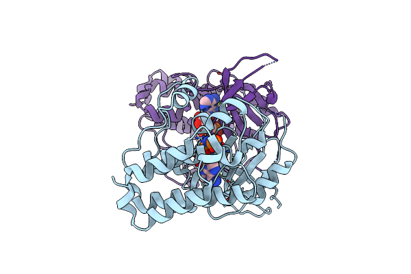 3LMG image