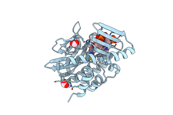 3LNB image