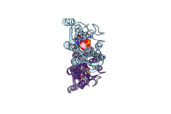 3LNC image