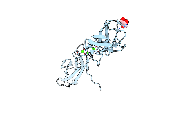 3LNE image