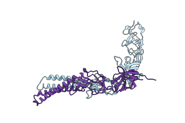 3LNN image