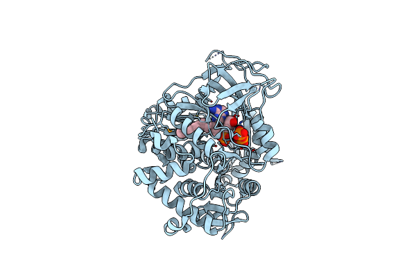 3LNV image