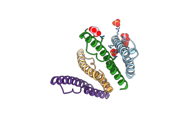 3LPH image