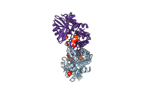 3LPN image