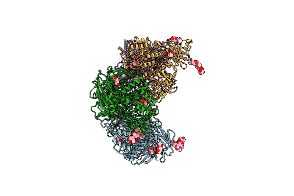 3LPP image