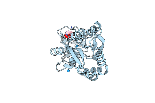 3LR1 image