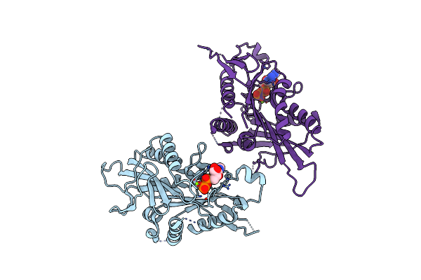 3LRE image
