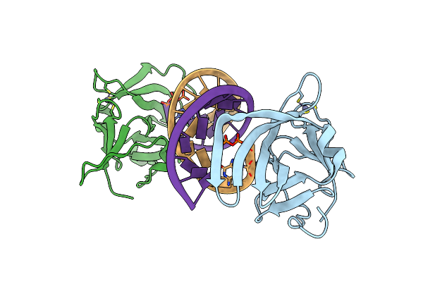 3LRN image