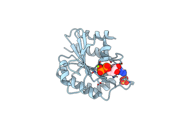 3LRP image