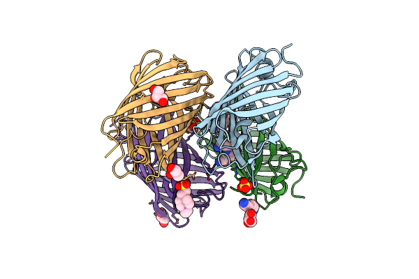 3LSA image