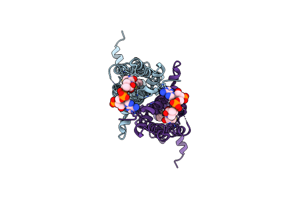 3LSJ image