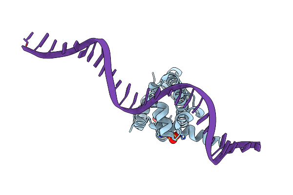 3LSR image