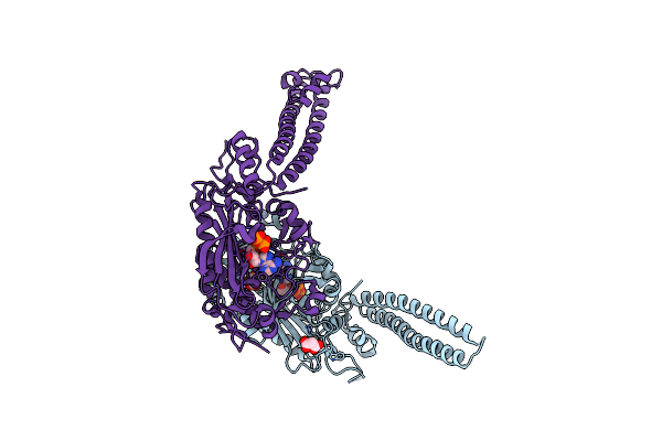 3LSS image