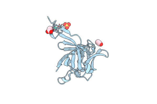 3LTQ image