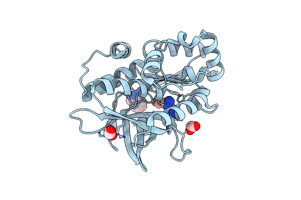 3LTW image