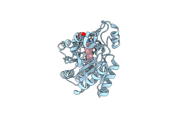 3LUP image