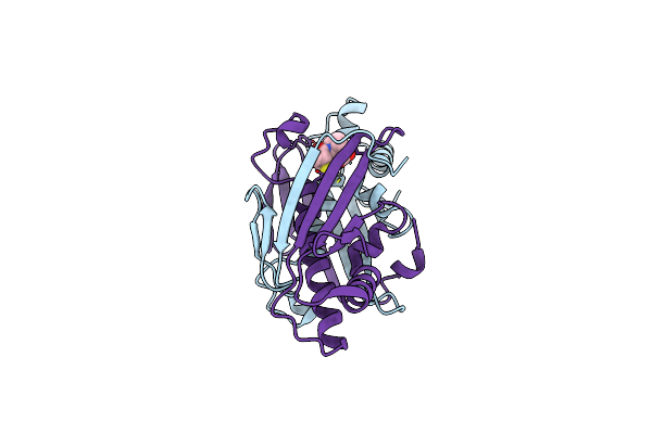 3LUS image
